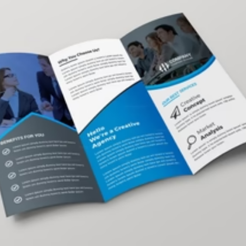 Custom Printed Brochure for Wholesale Orders - Image 2